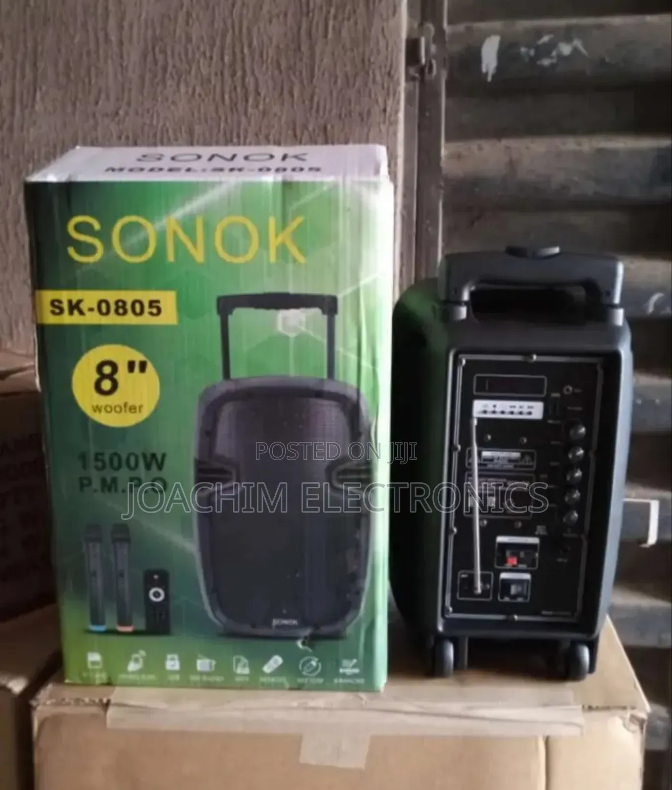 Professional Mobile Rechargeable Pa