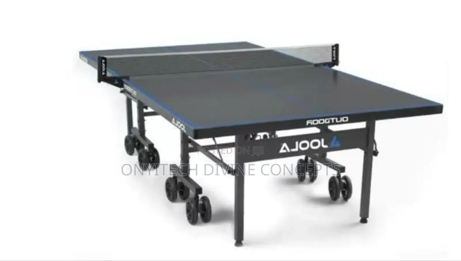 Imported Outdoor Joola Tennis Table