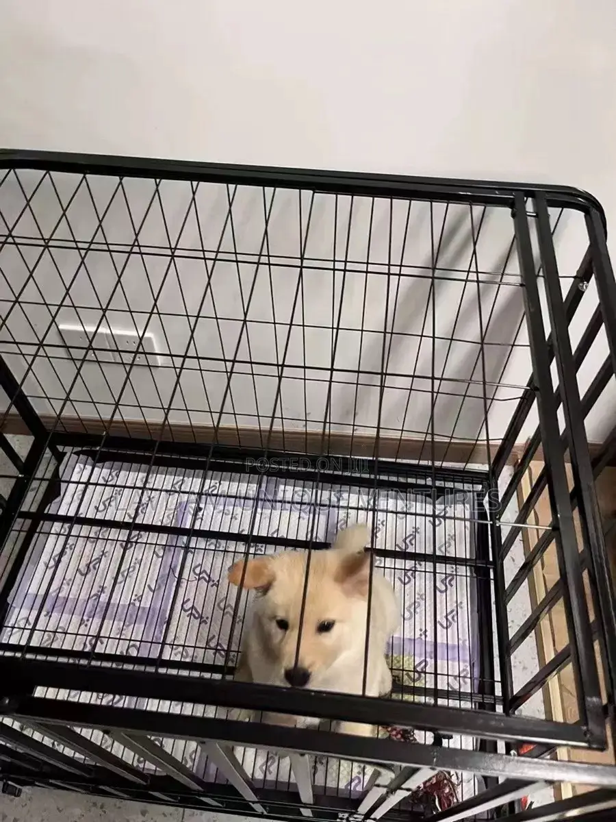 Heavy Duty Dog Cage/Crate–Strong Metal Pet Kennel With Doors