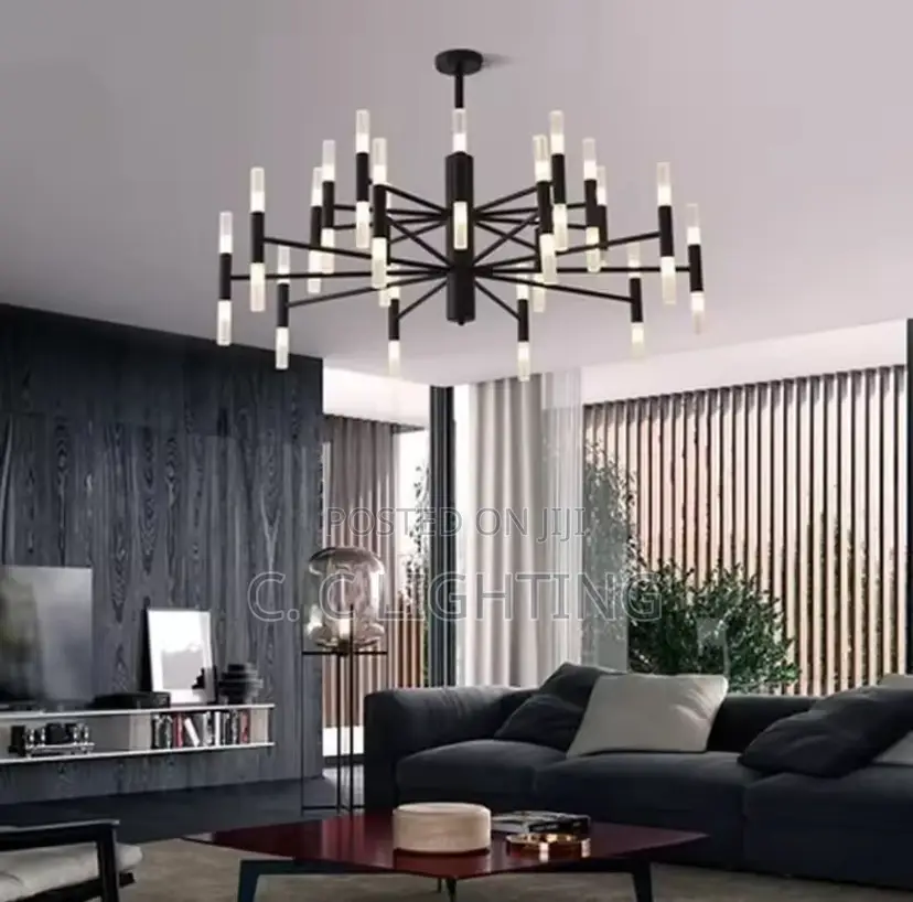 Modern Fashion Designer Black Led Ceiling Chandelier Light
