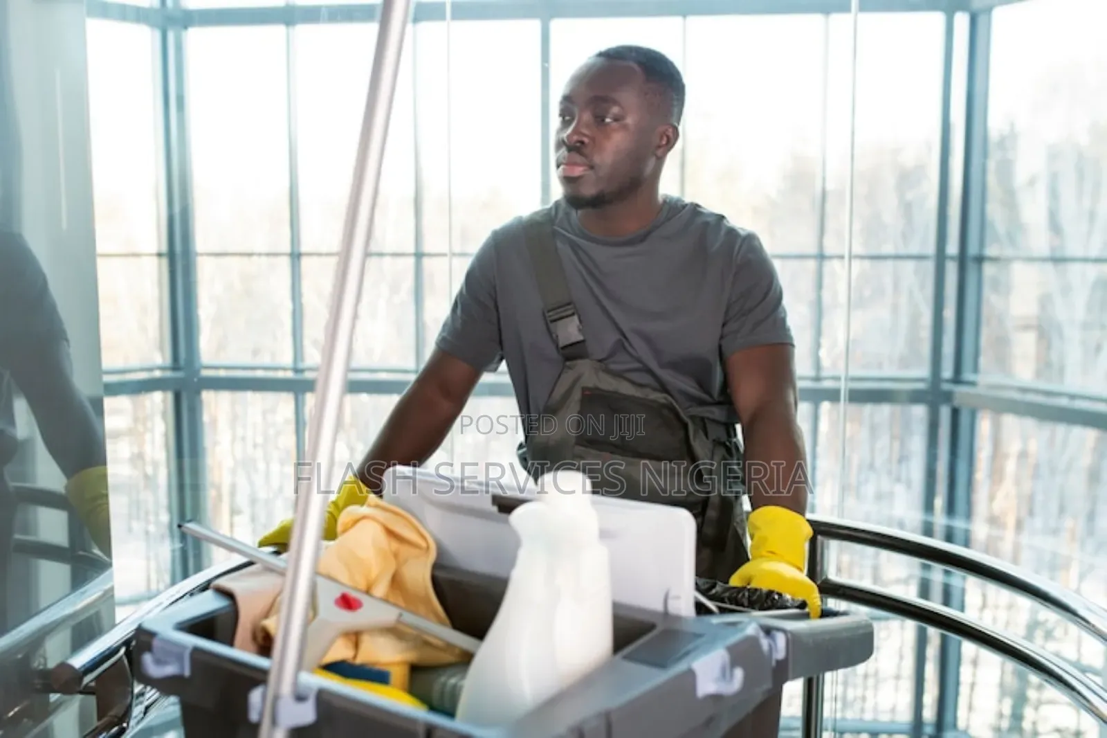 Cleaning Services Professionals. Residential and Commercial)