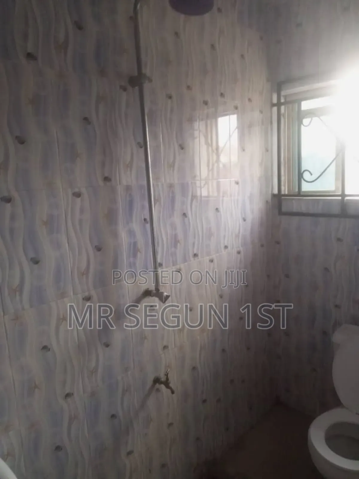 Studio Apartment in Chelsea Estate, Rind Road for rent