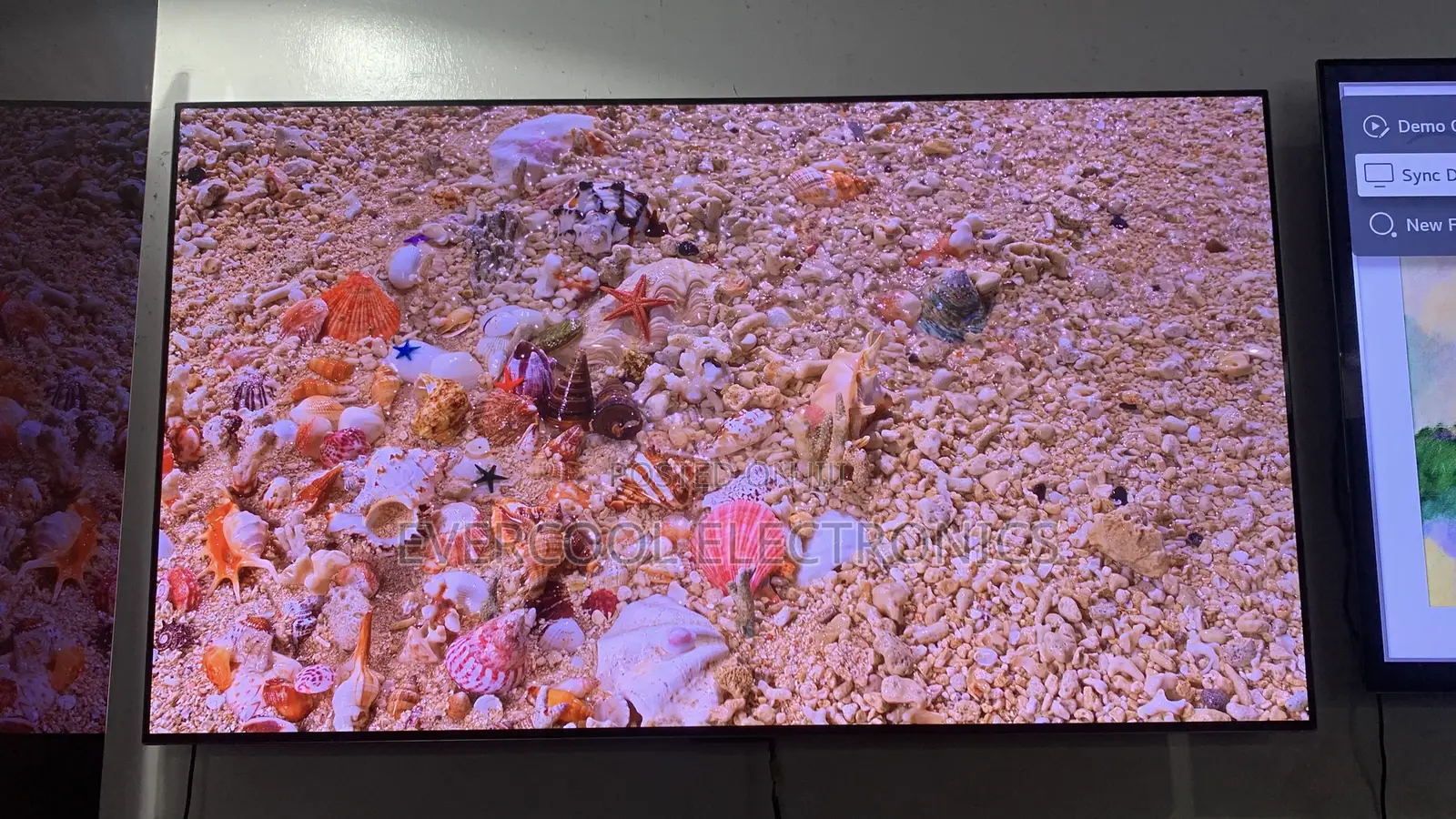Premium 55” Lg Oled Evo G1 Smart Tv With Nvidia G-Sync Amd