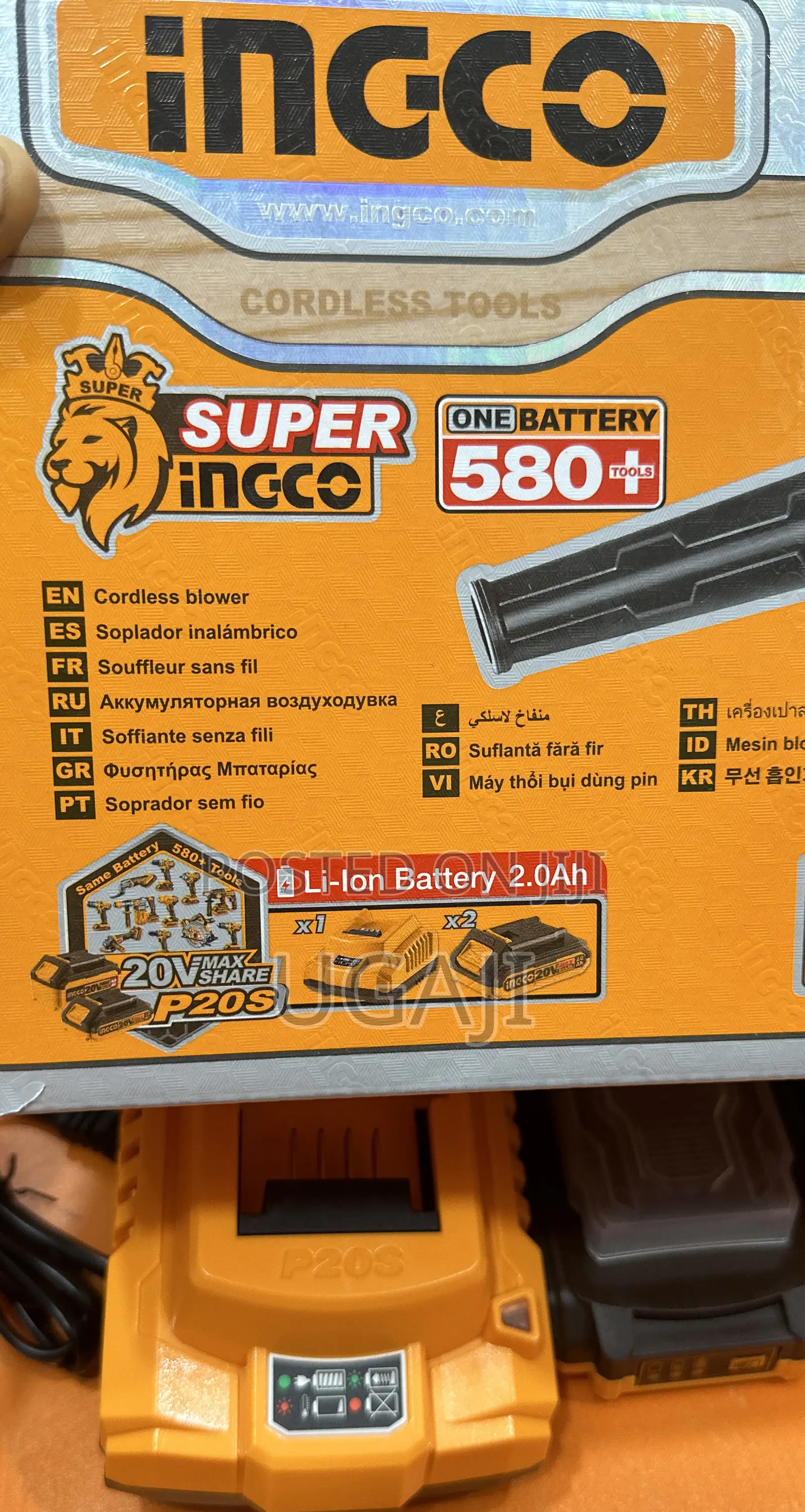 20v Ingco Blower