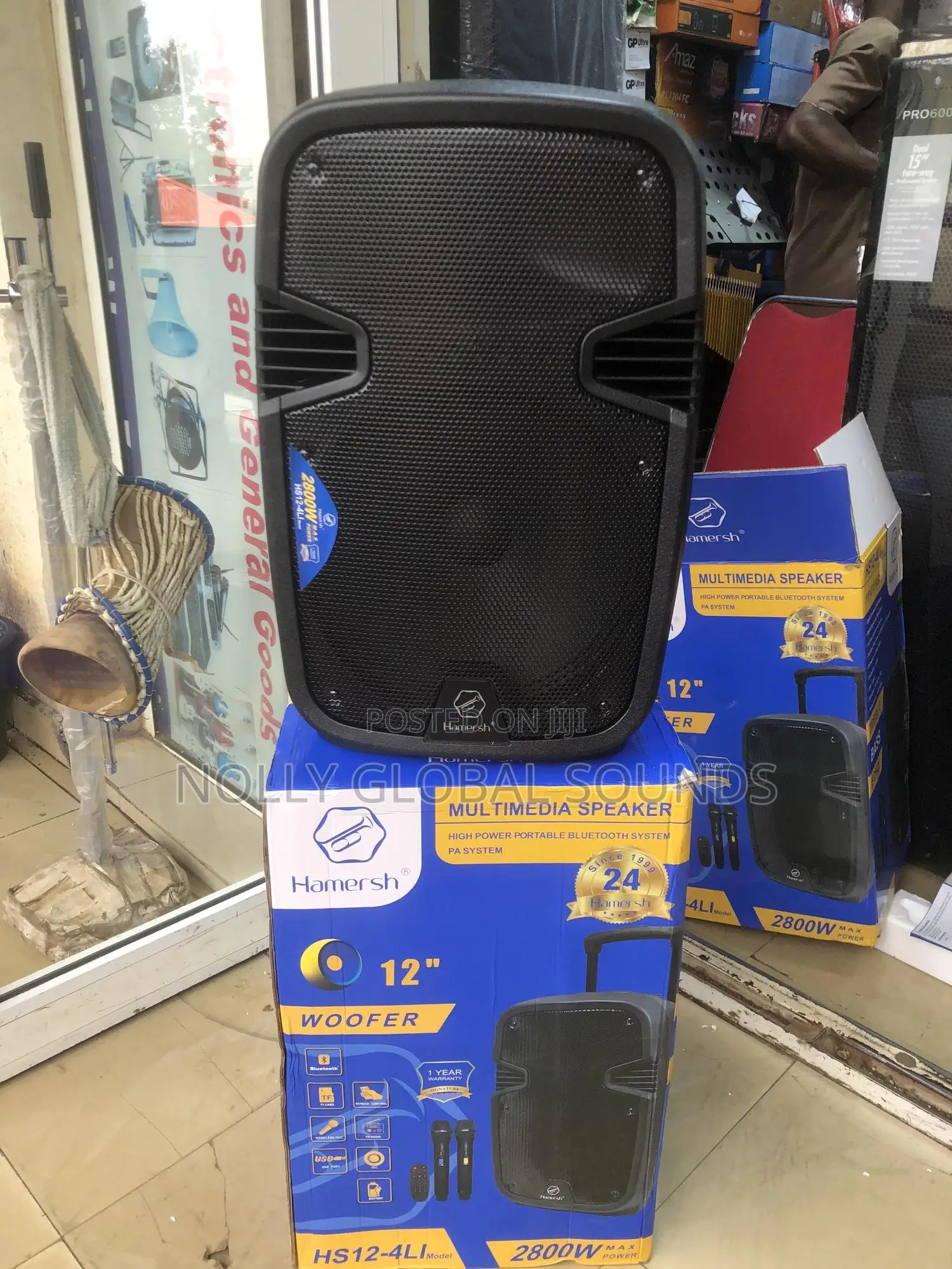 Sonymax 12 Inches Public Addressing System With 2 Wireless Microphones