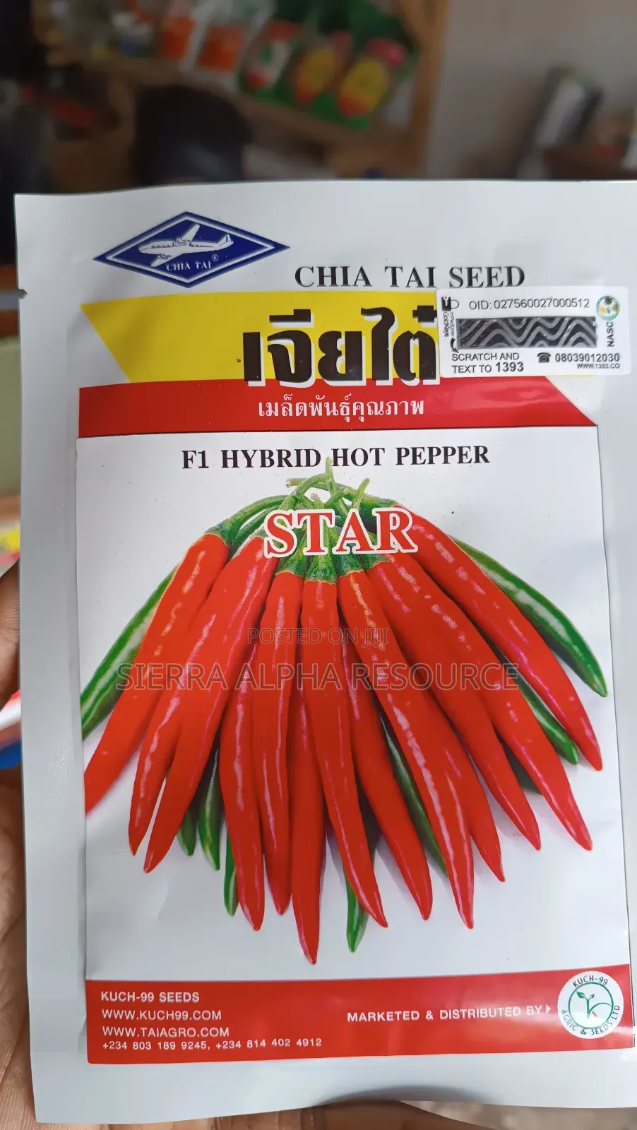 Chili Seeds
