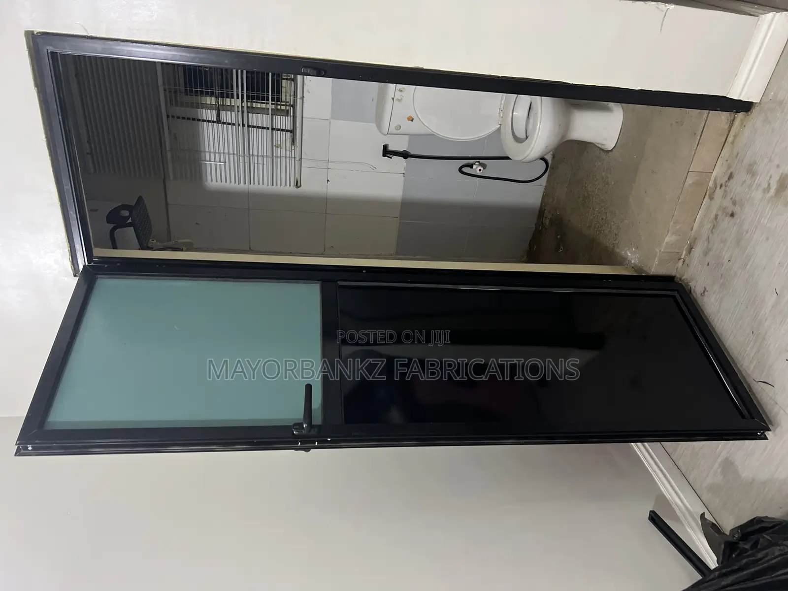 Toilet Door With Mirror