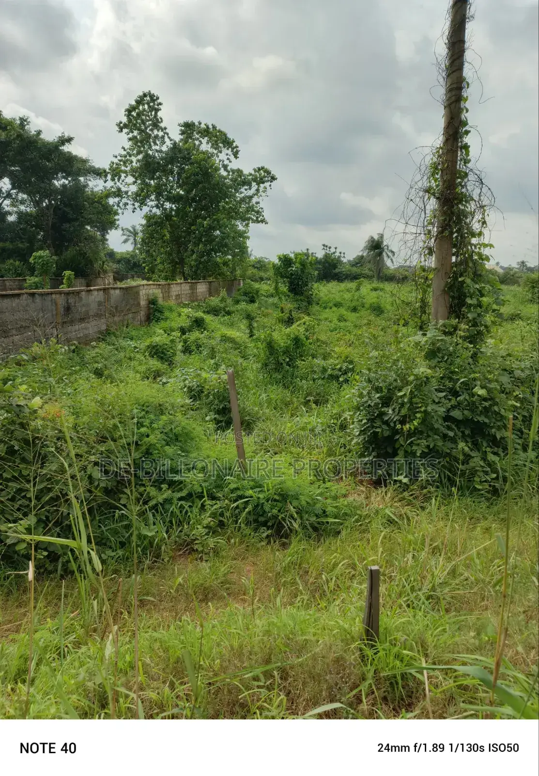 5plots Along Toronto Orji Road