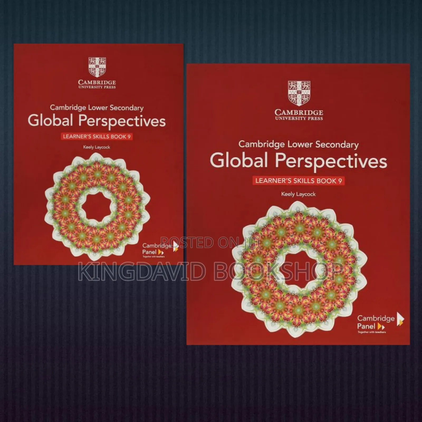 Lower Secondary Global Perspective Year 9