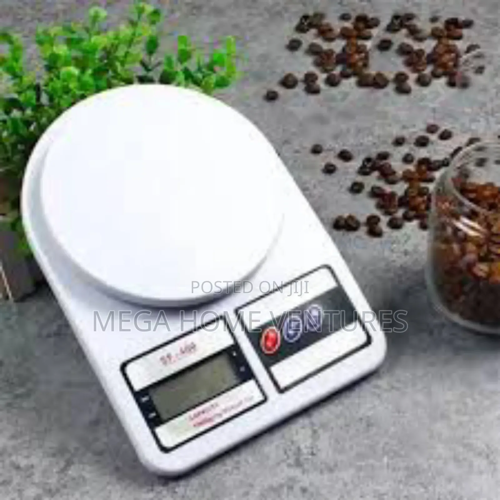 Electronic Kitchen Scale