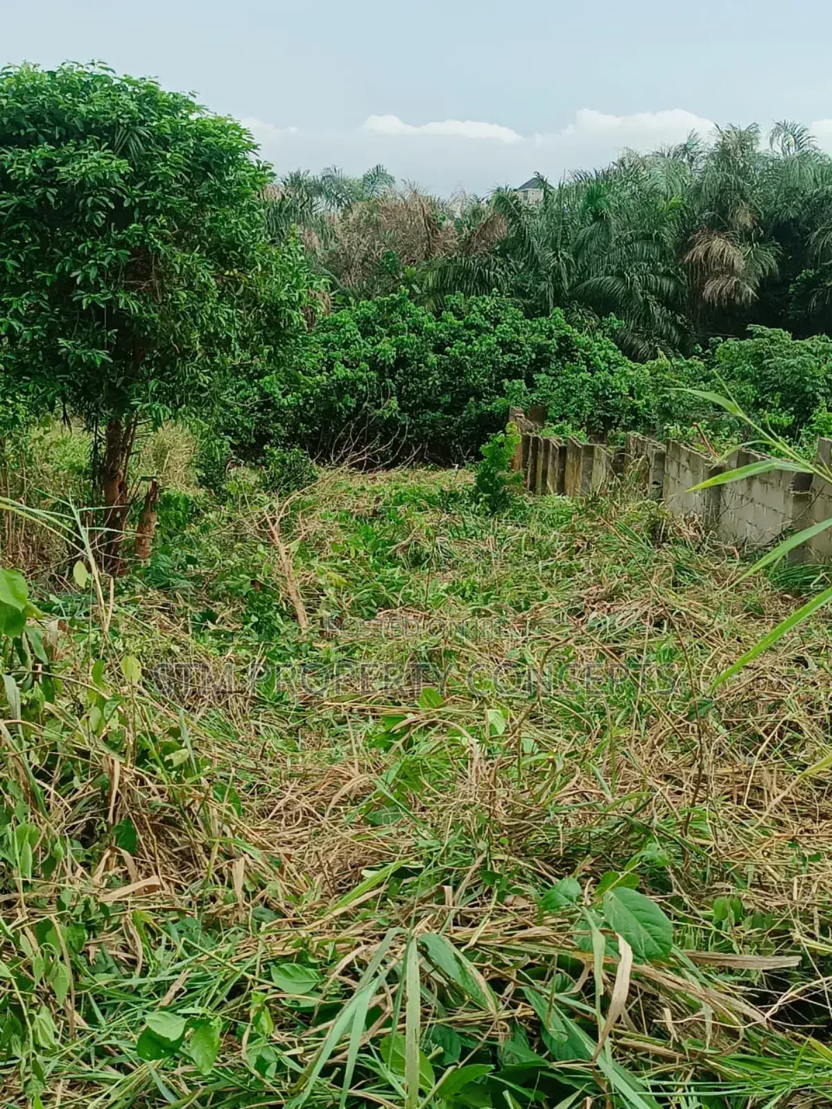 Half Plot of Land for Sale at Isefun Ayobo Lagos Scheme