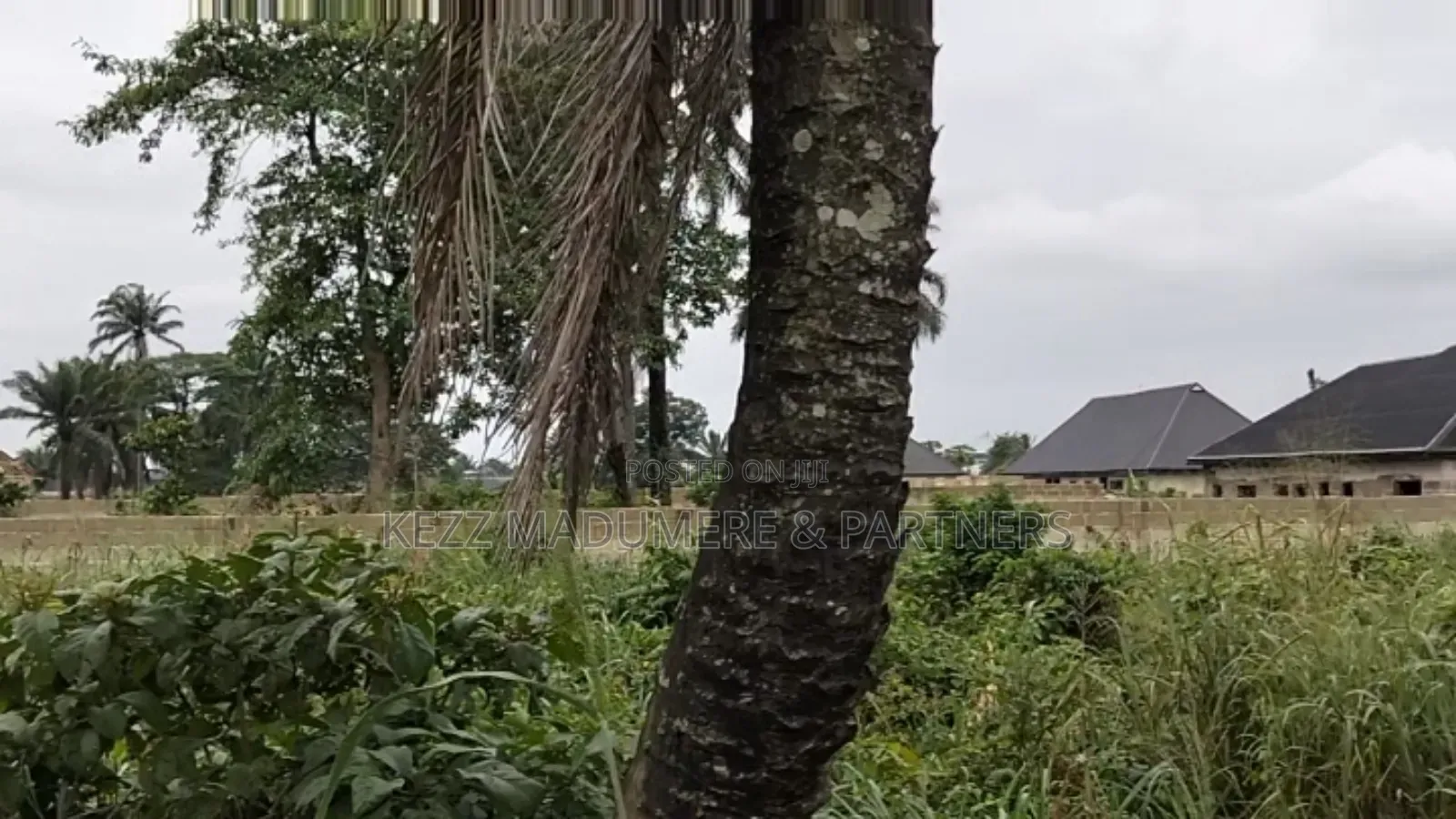 For Sale : 2 Fenced With Gate Plots at Iriebe by Pipeline Ph