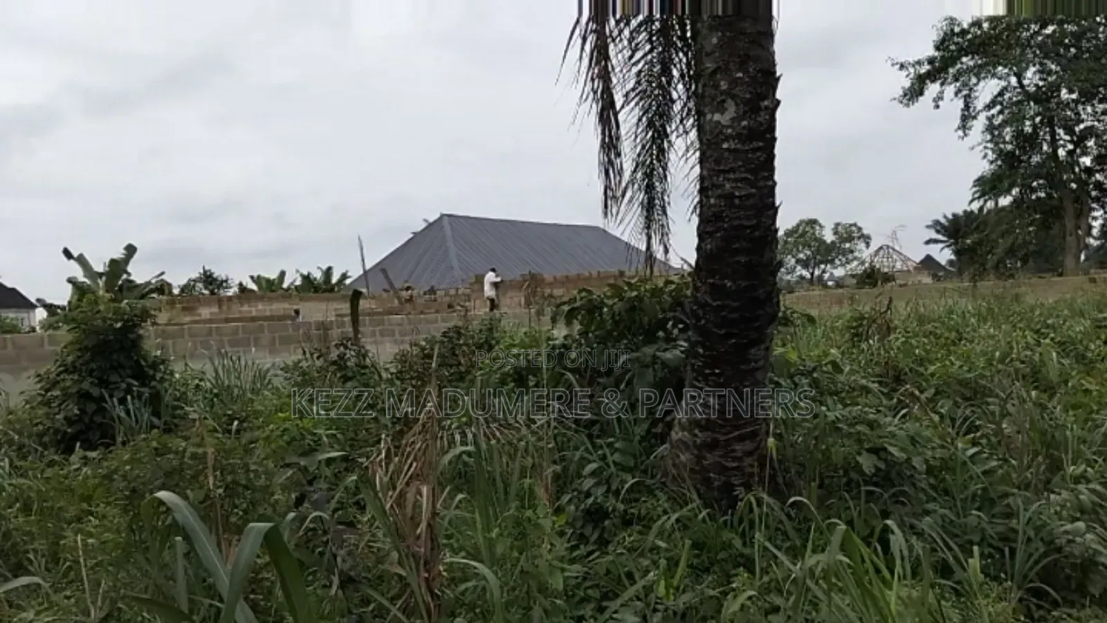 For Sale : 2 Fenced With Gate Plots at Iriebe by Pipeline Ph