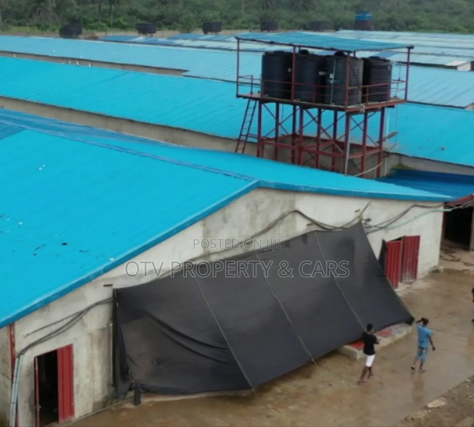 $3.5m Poultry And Farmland Available For Sale In Ogun State