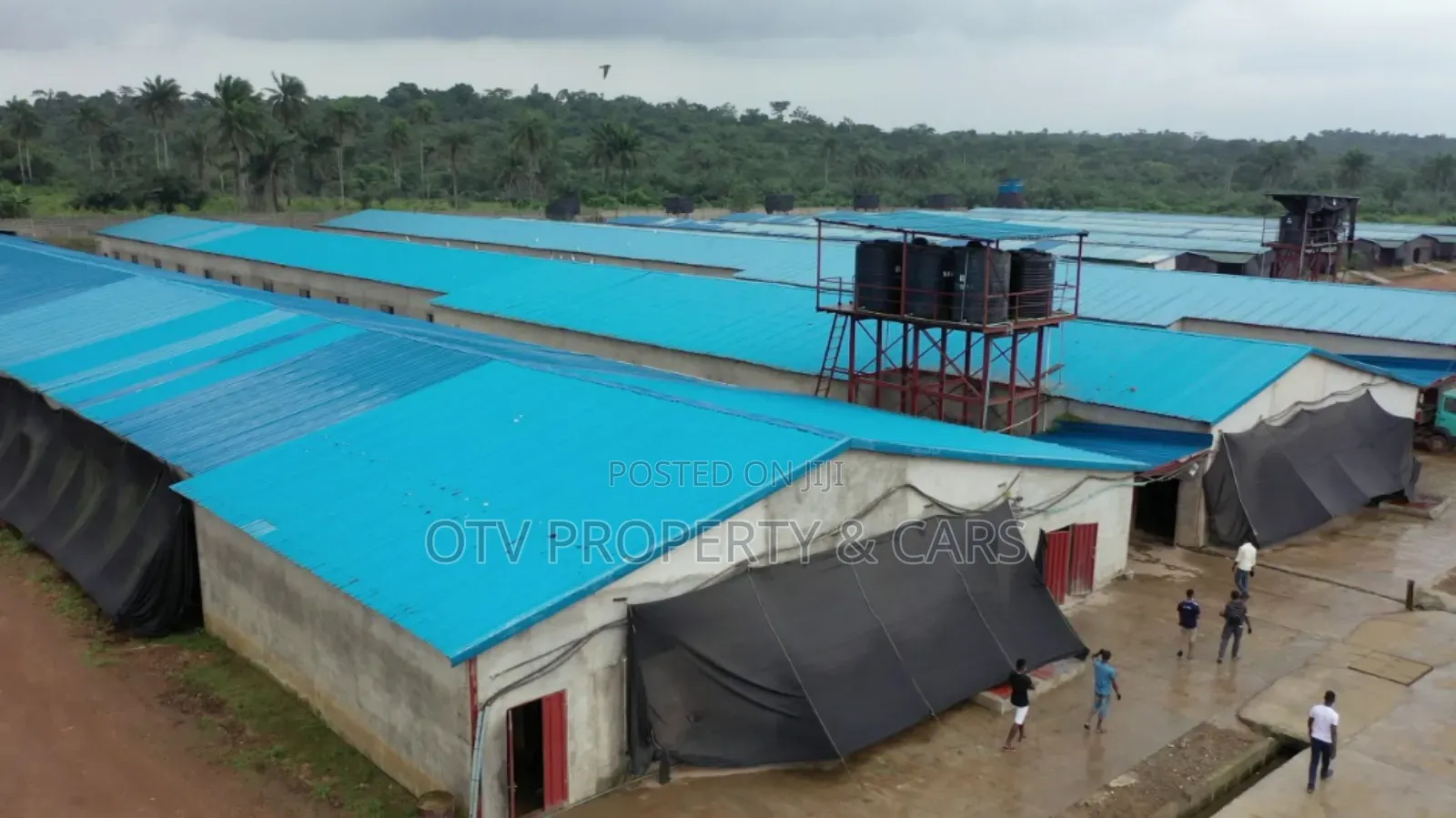 $3.5m Poultry And Farmland Available For Sale In Ogun State