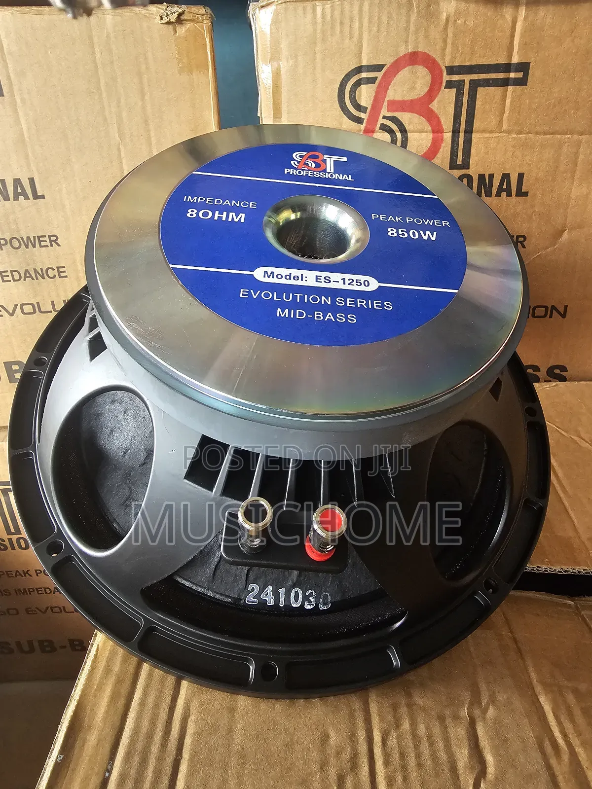 Original 12 Inches Naked Speaker