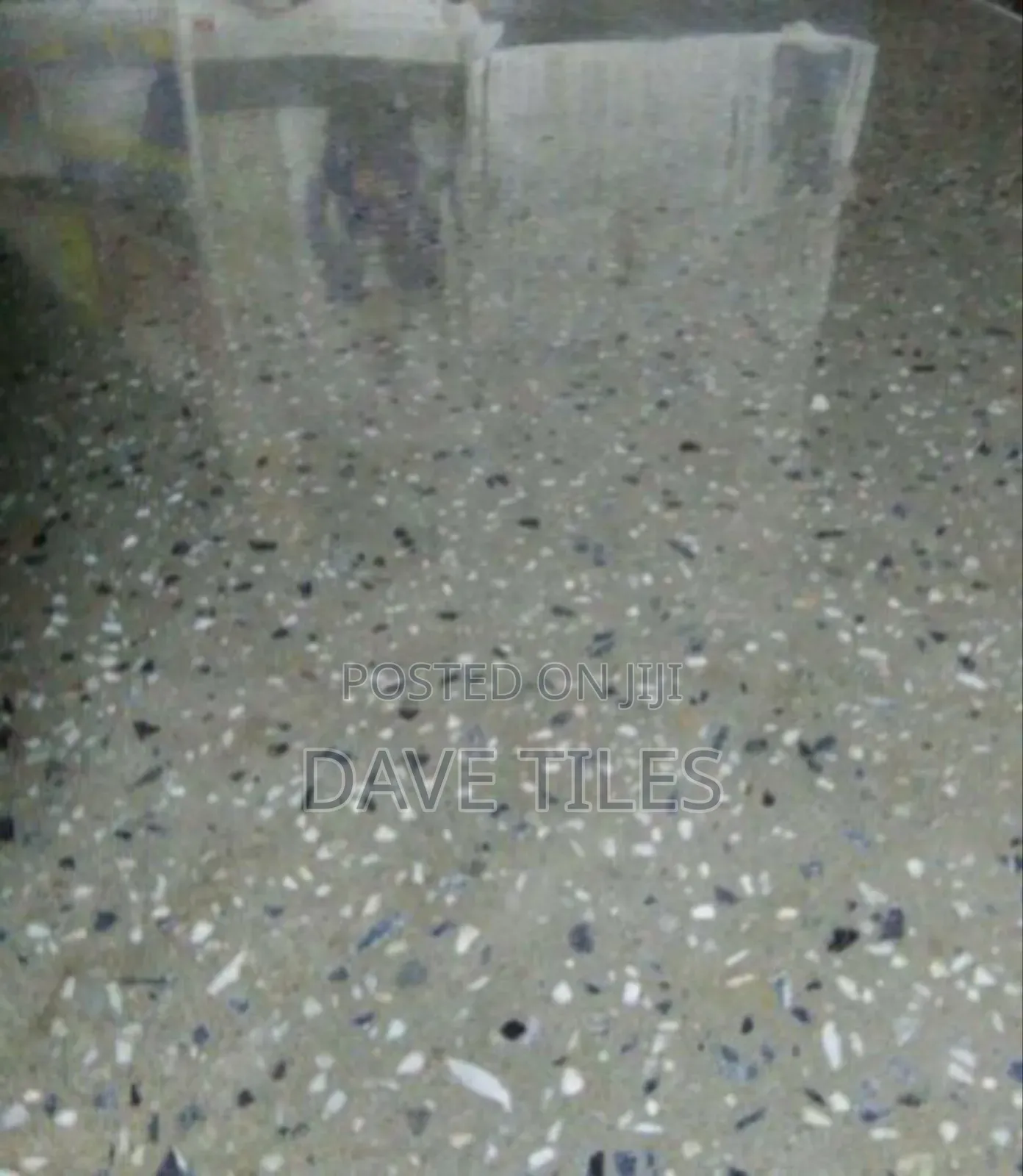 Terrazzo Floor Expert