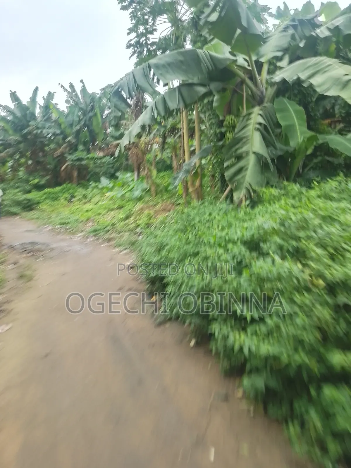 Distress Buy, Build and Pack in at Ulakwo Etche