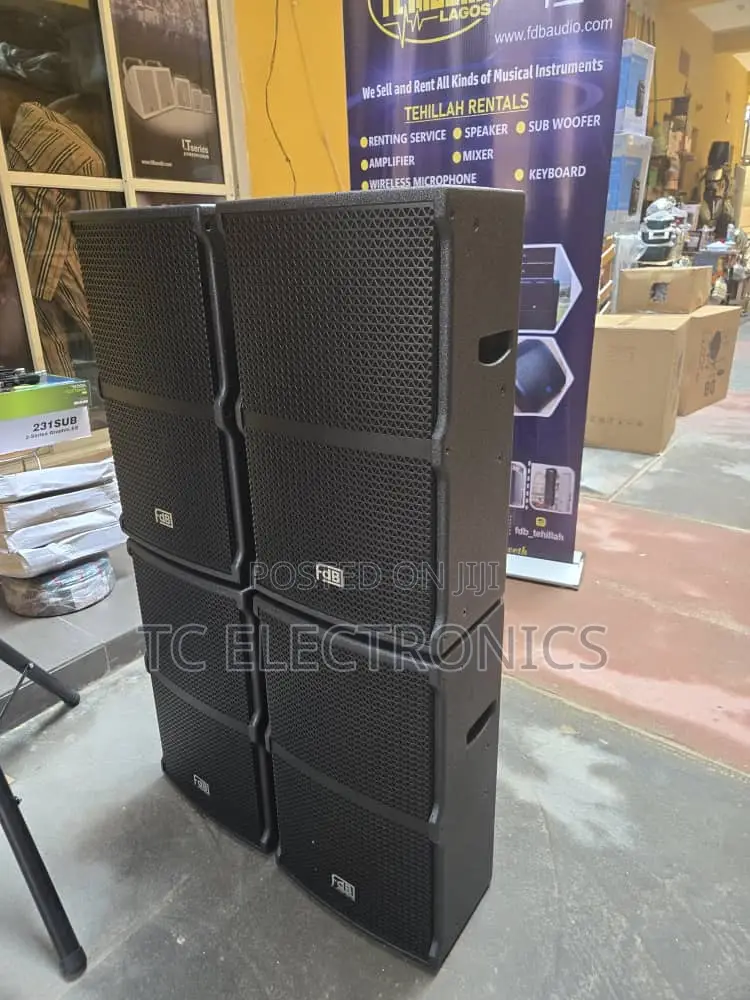 Professional FDB Speaker Qs12.