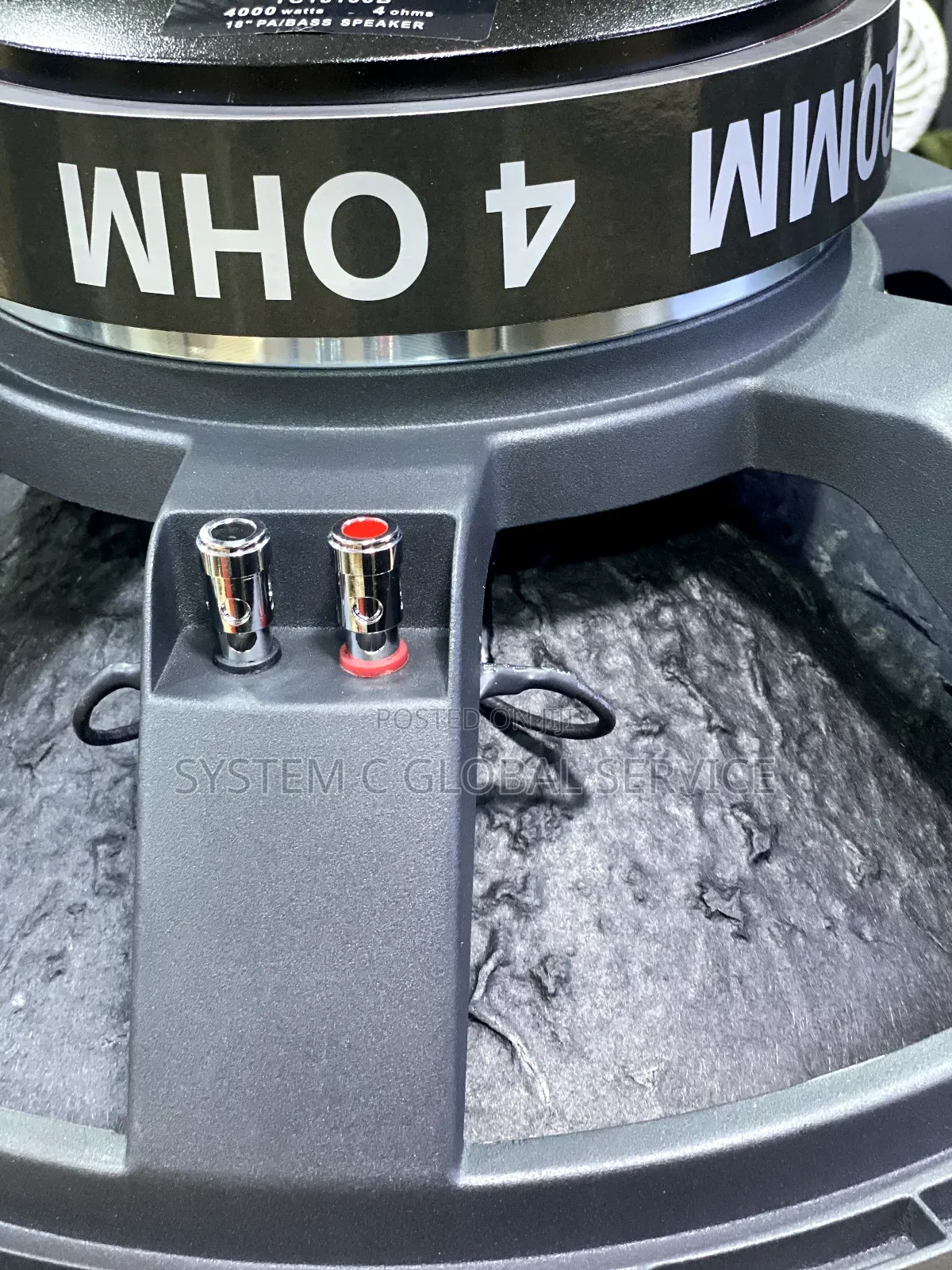 Titanic U.S.A Tc18100b Naked Speaker