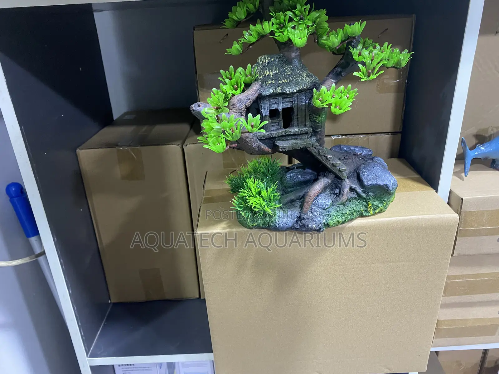 Aquarium Decor