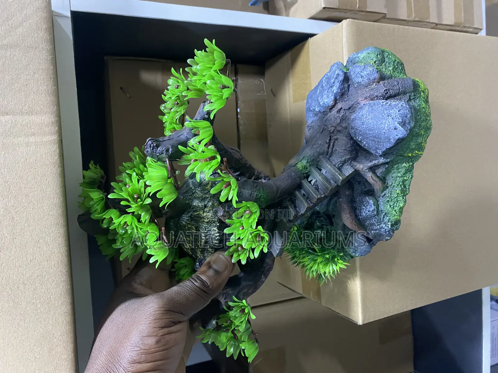 Aquarium Decor