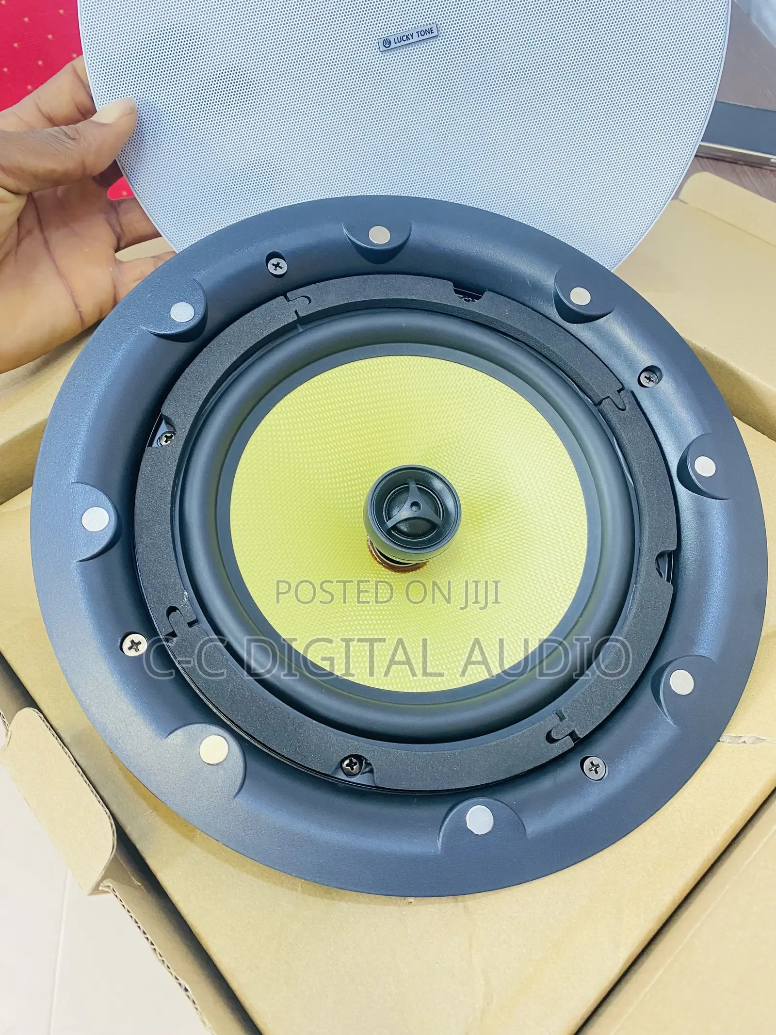 Lucky Tone Ceiling Speaker