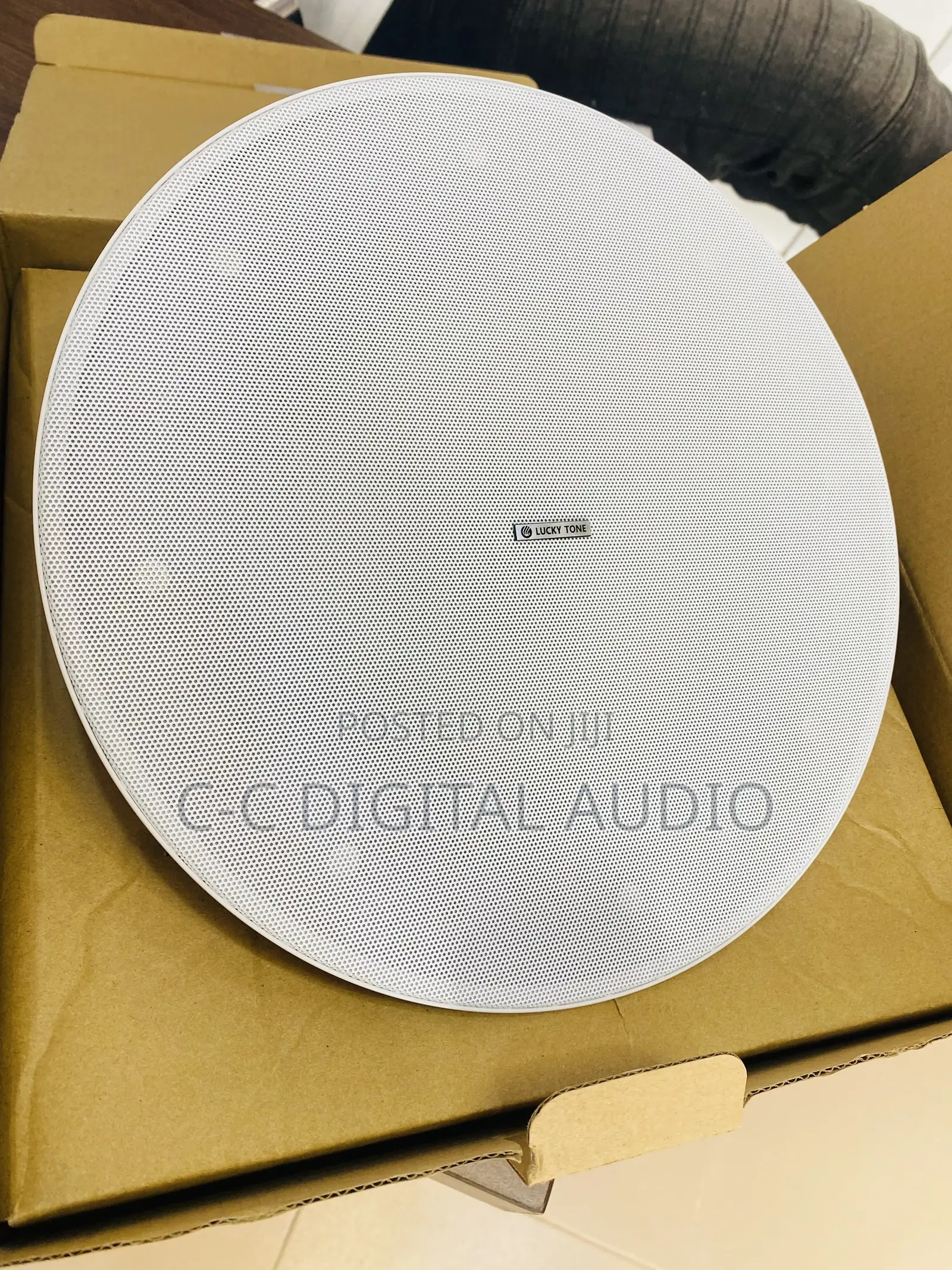Lucky Tone Ceiling Speaker