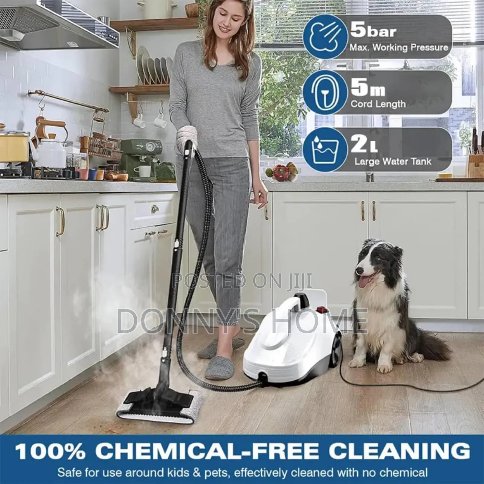 Clean House 5-Bar Steam Cleaner