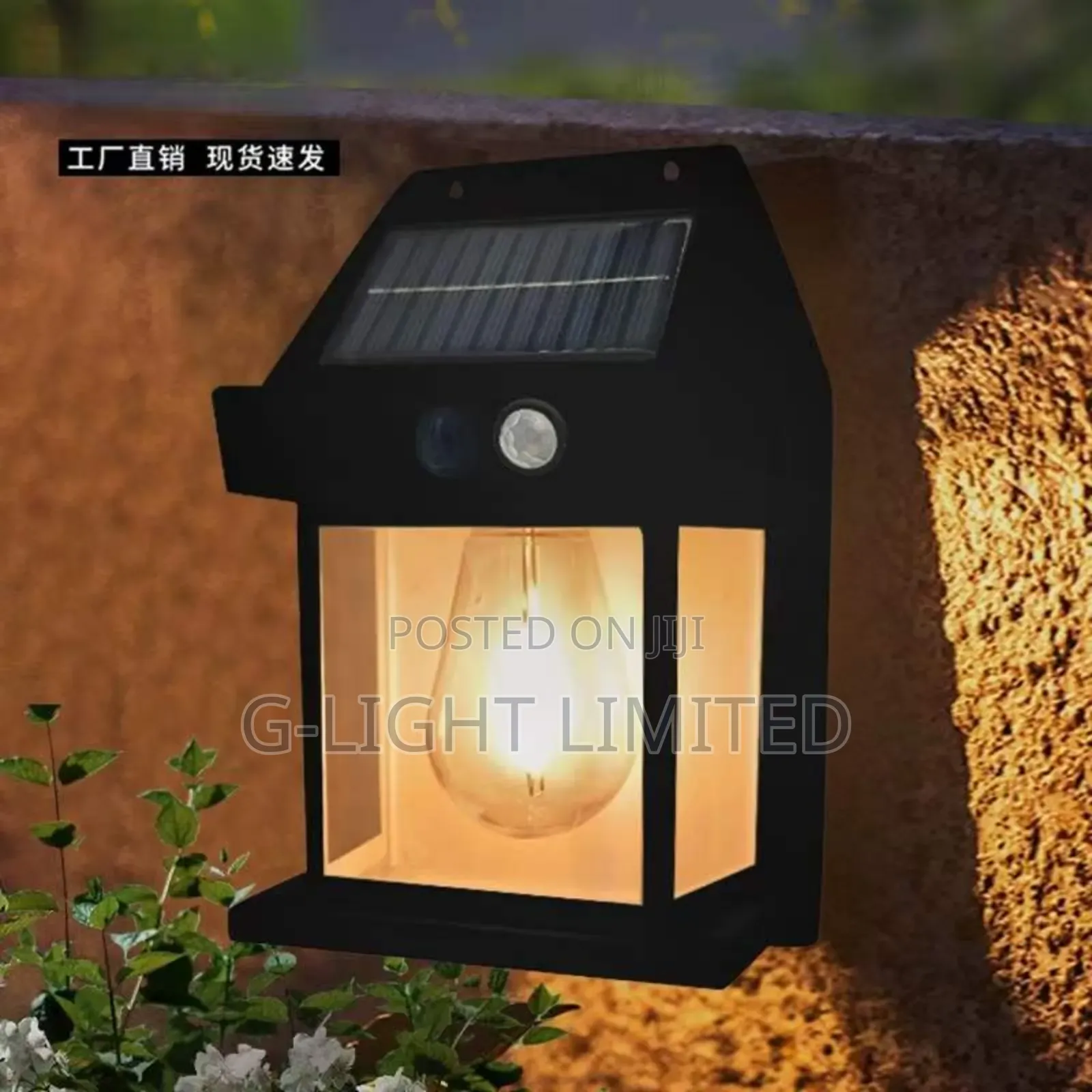 Outdoor Wall Light