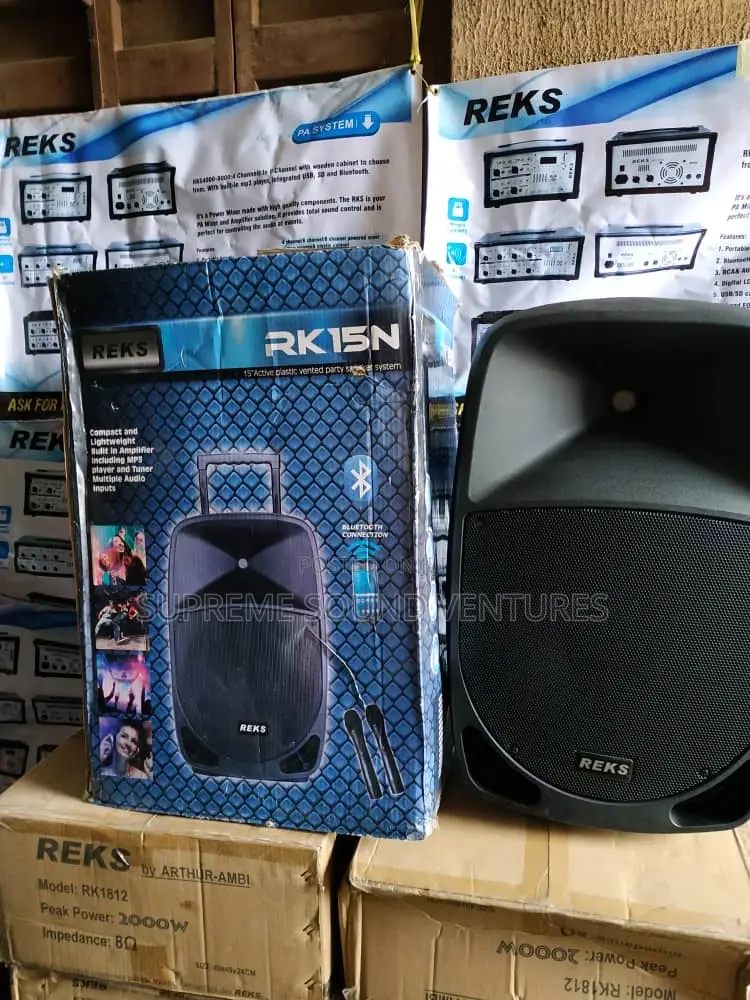Reks 10 Inches Pa System