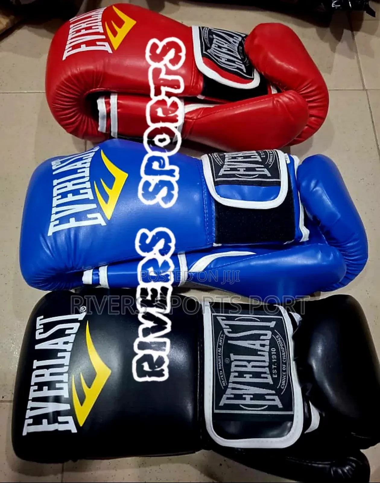 Everlast Deluxe Professional Boxing Glove in Black,Blue,Red
