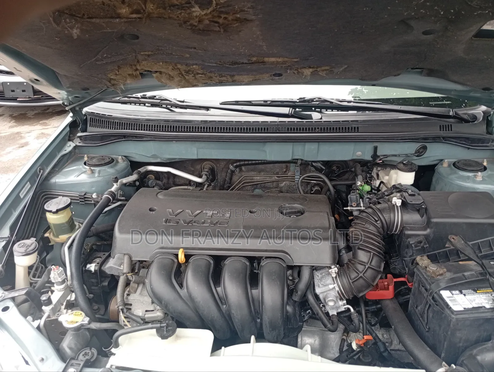 Toyota Corolla LE 2006 Green