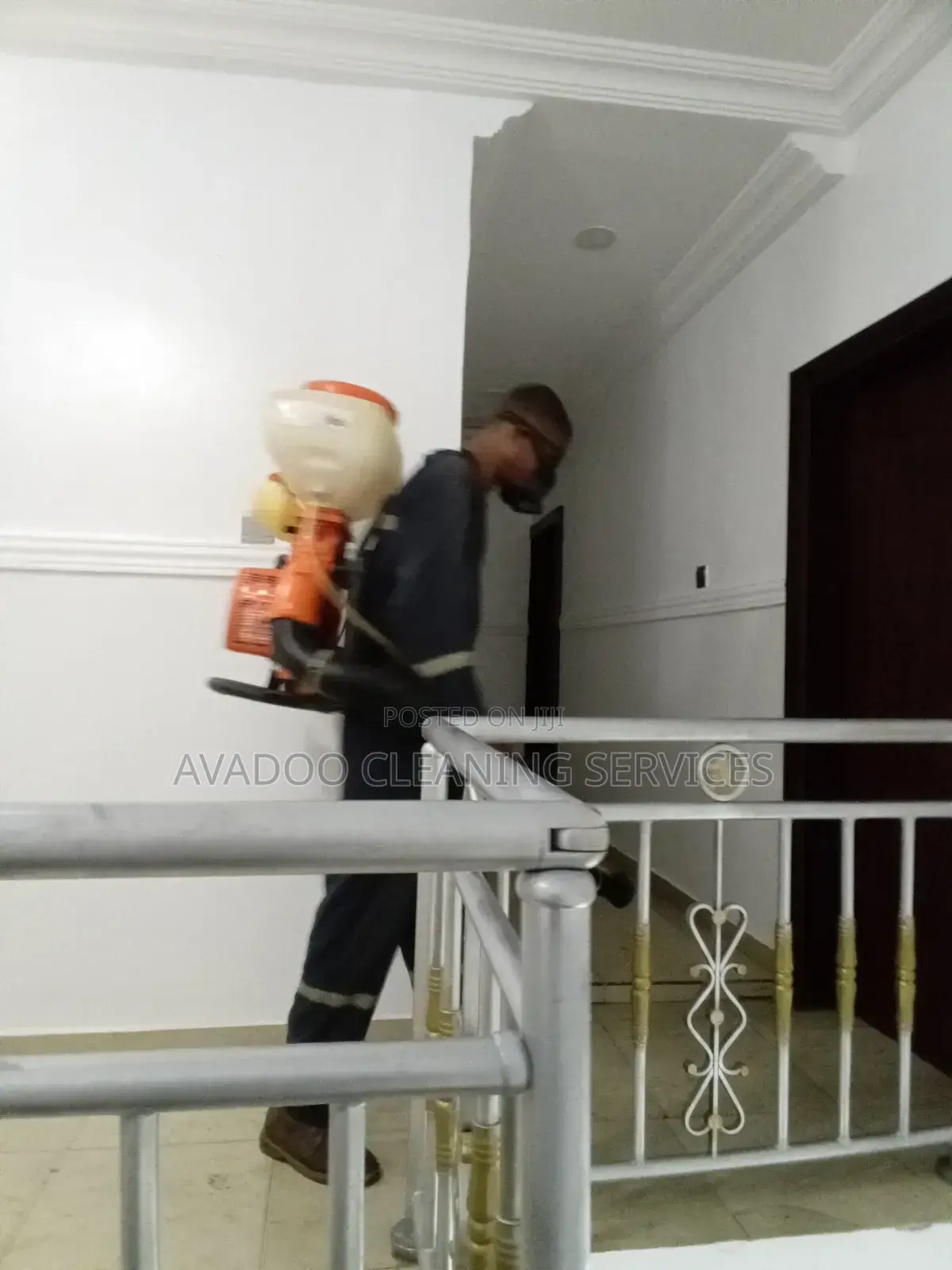 Fumigation Pest Control, Done Right!
