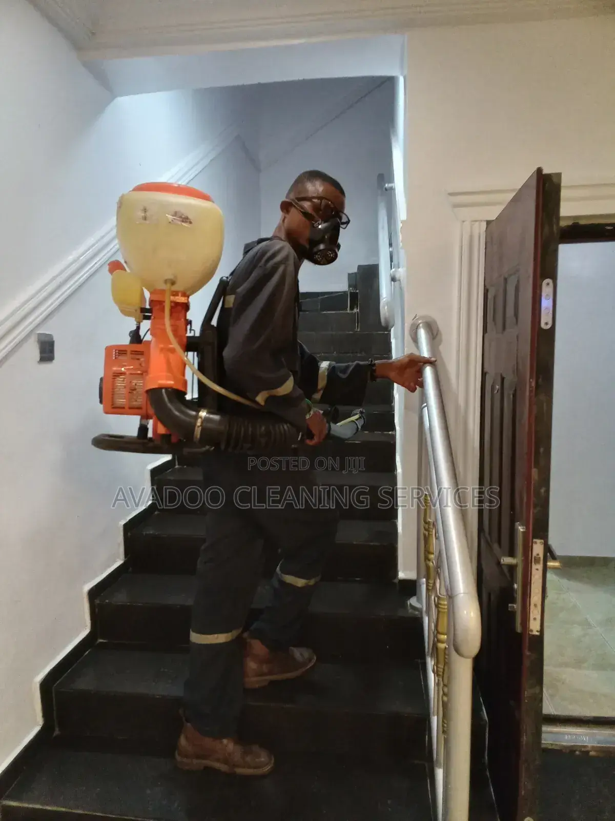 Act Fast- Professional Fumigation Pest Control Available Now!