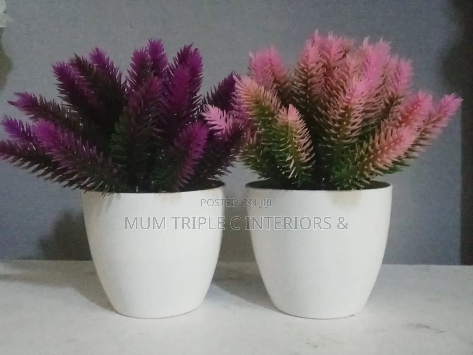 (Wholesales)Fancy Cup Glower