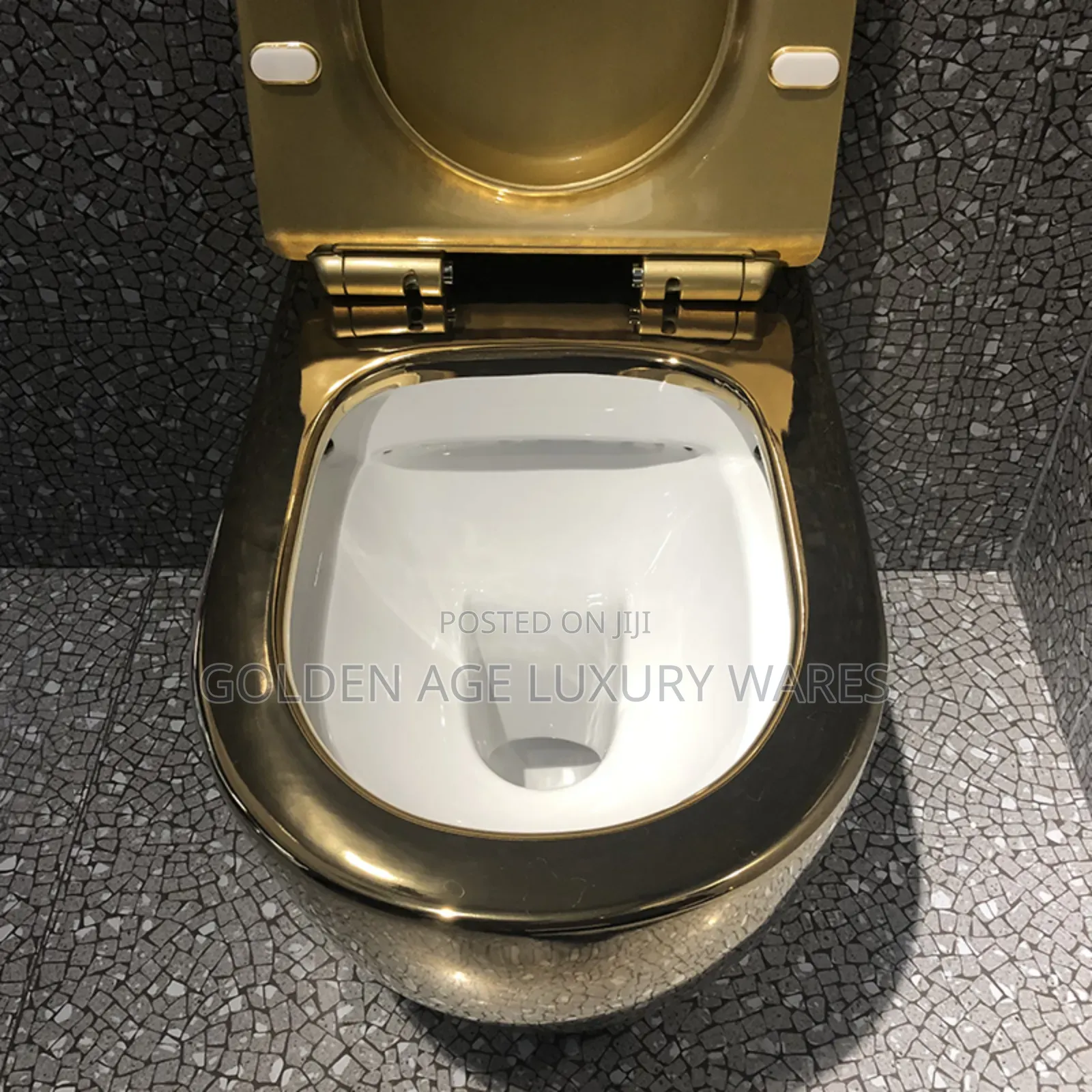 Gold Concealed Wc (White Inside)
