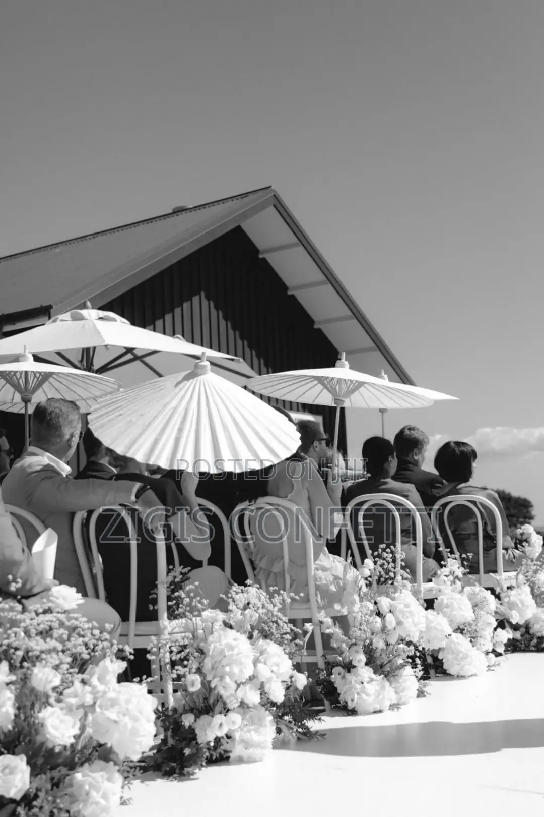 White Parasols