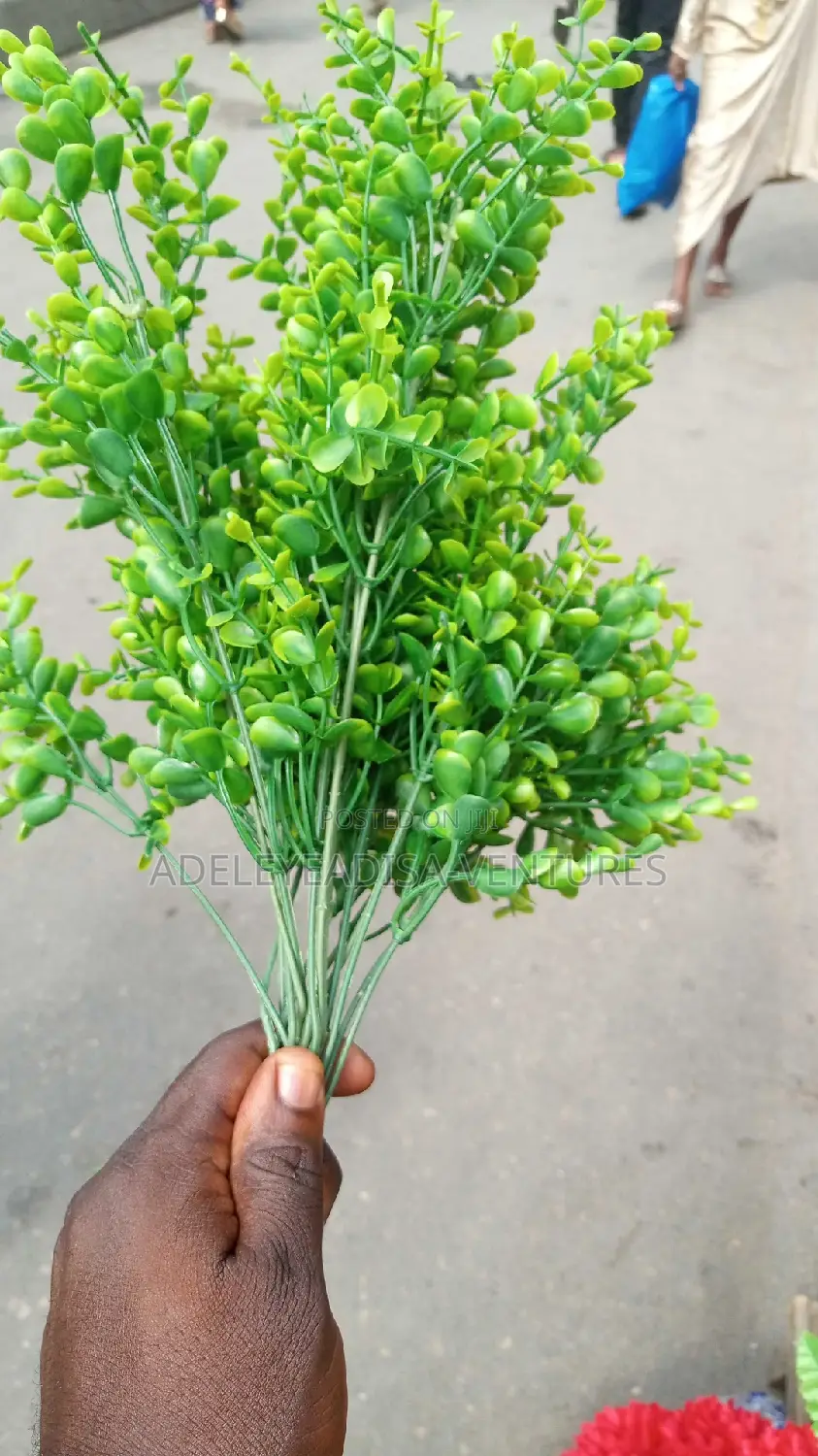 Flower for Decorating