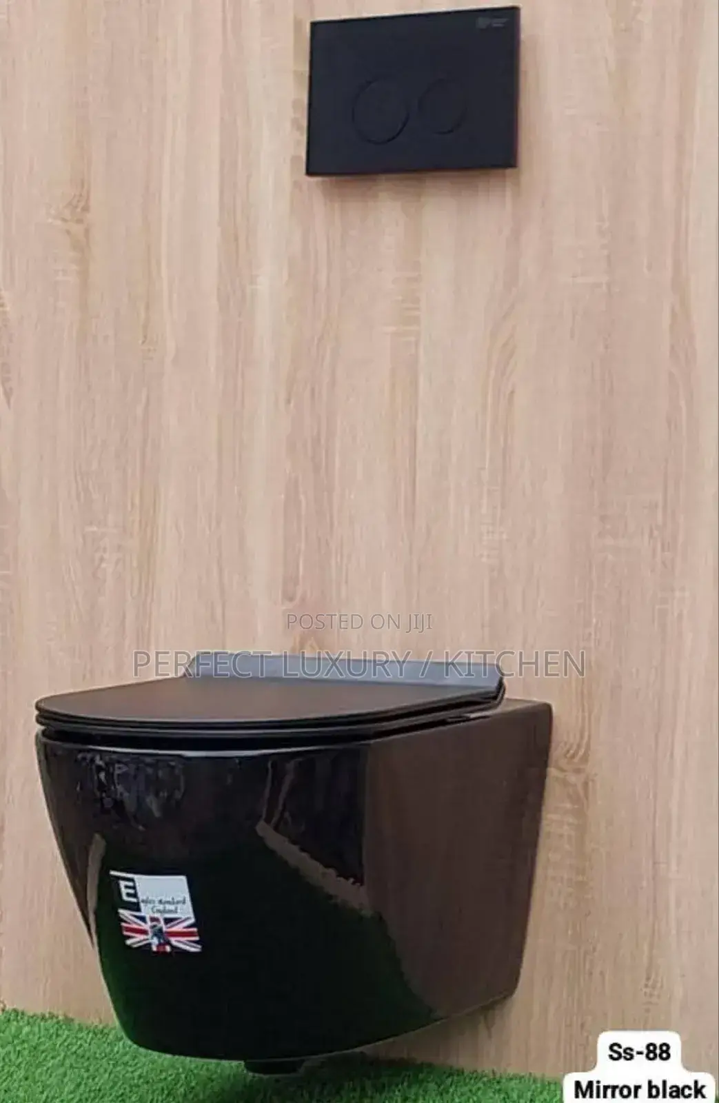 Eagle Standard Black Concealed Wall Hang W C