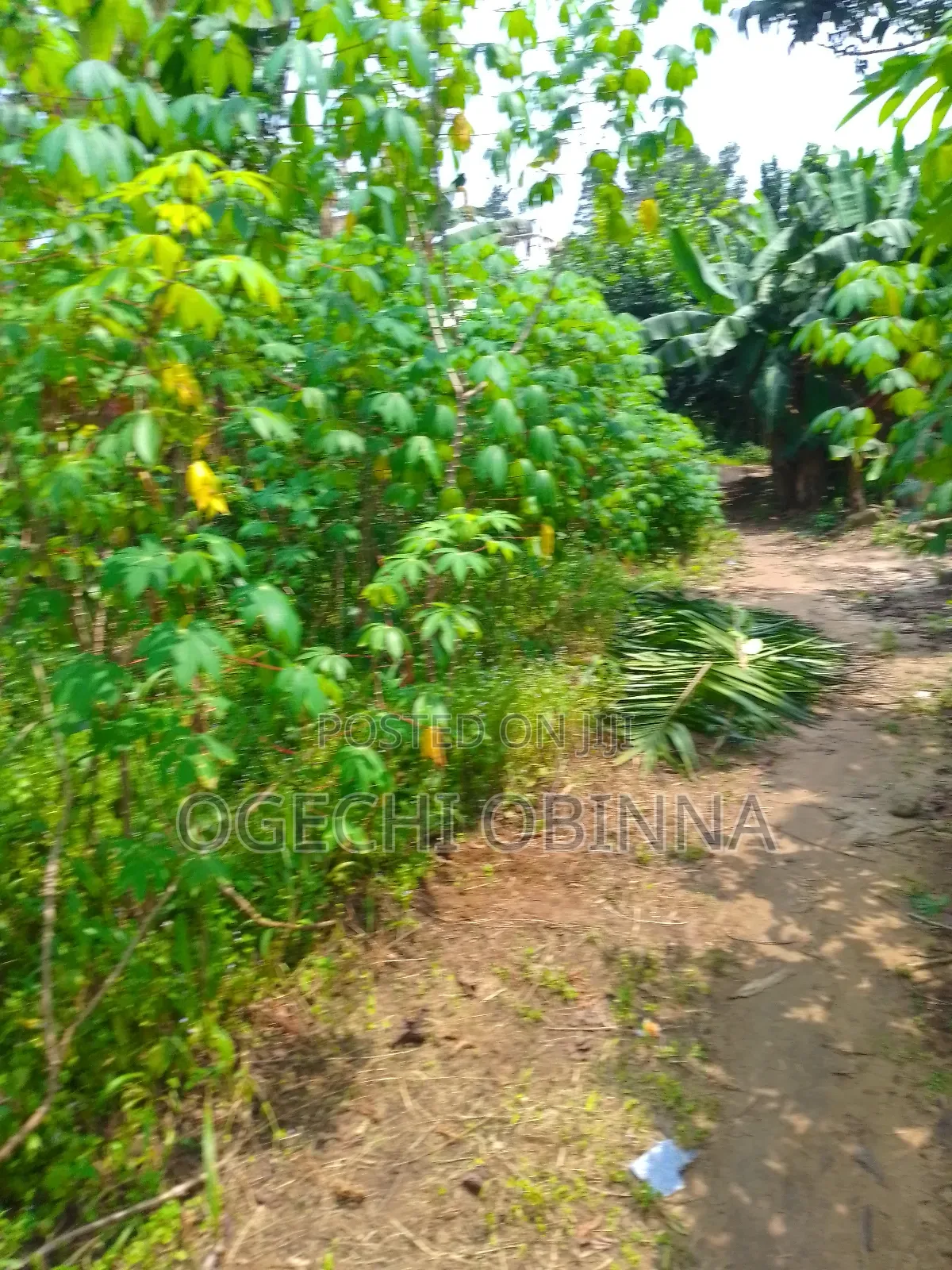 Buy and Build Land at Egwi Etche