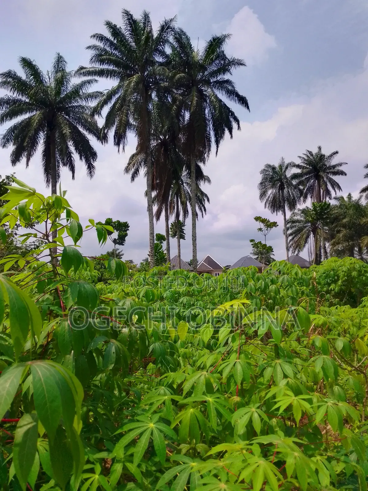 Buy and Build Land at Egwi Etche