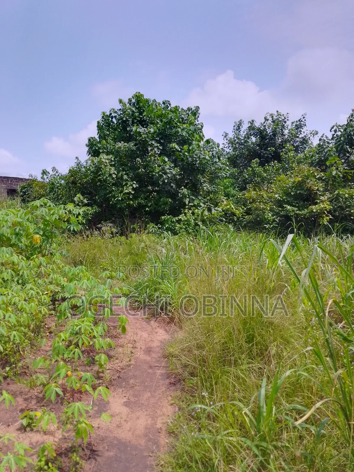 Buy and Build Land at Egwi Etche