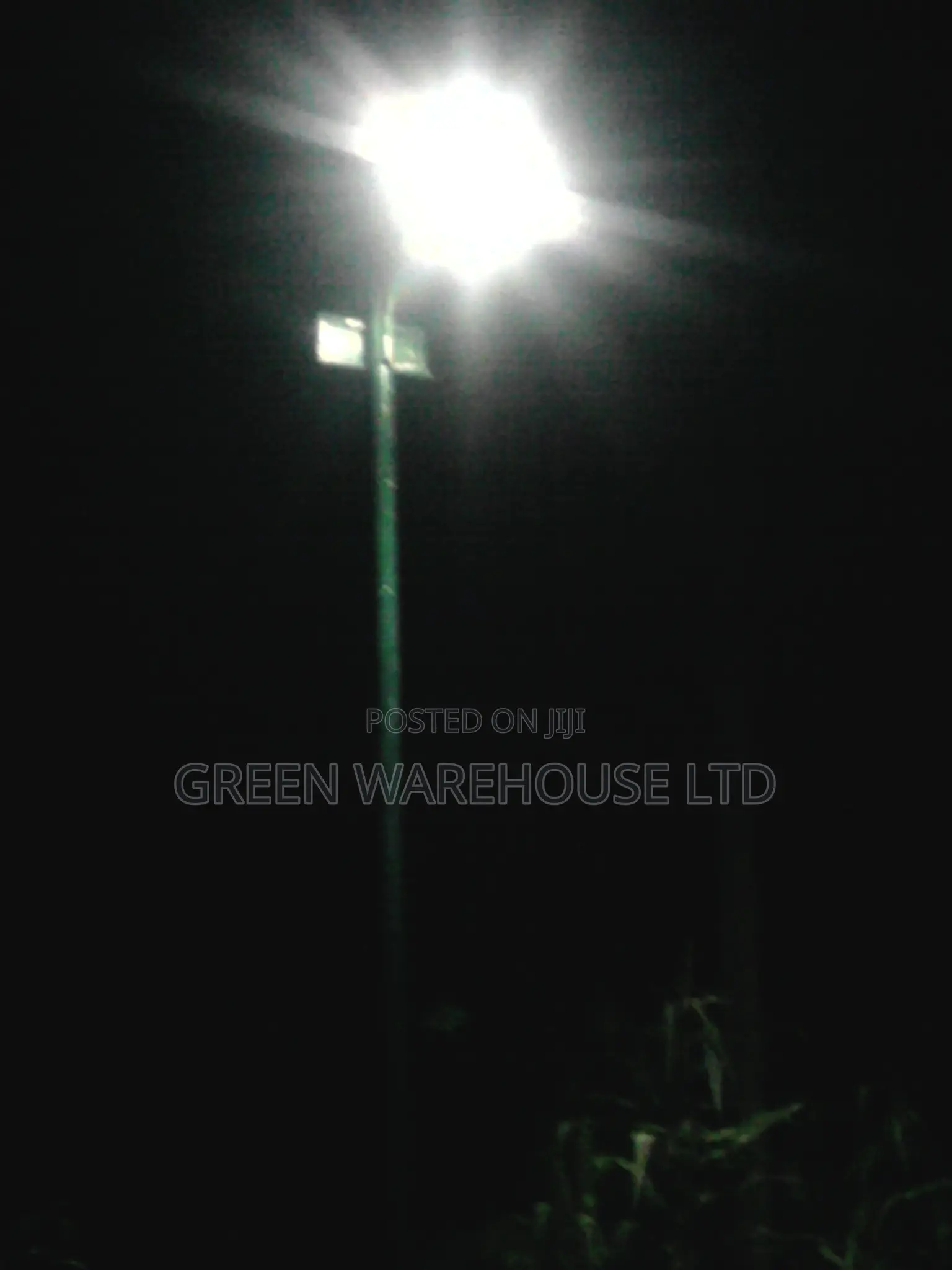 Exulted Outdoor Solar Street Light