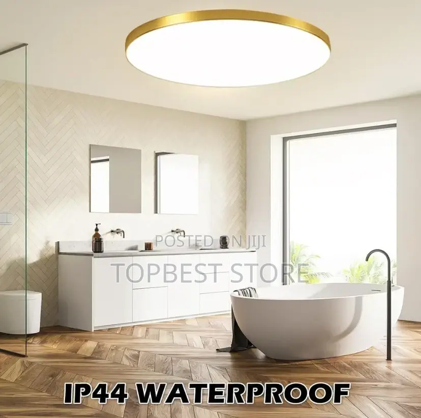 Classic Modern Led Ceiling Light