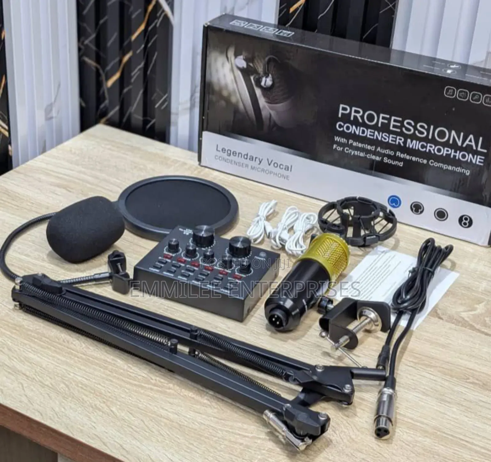 Professional Mic for All Purpose