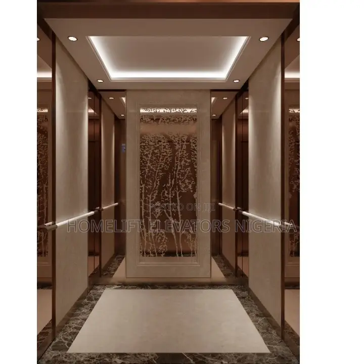 6-8 Person Luxury Passenger Elevator