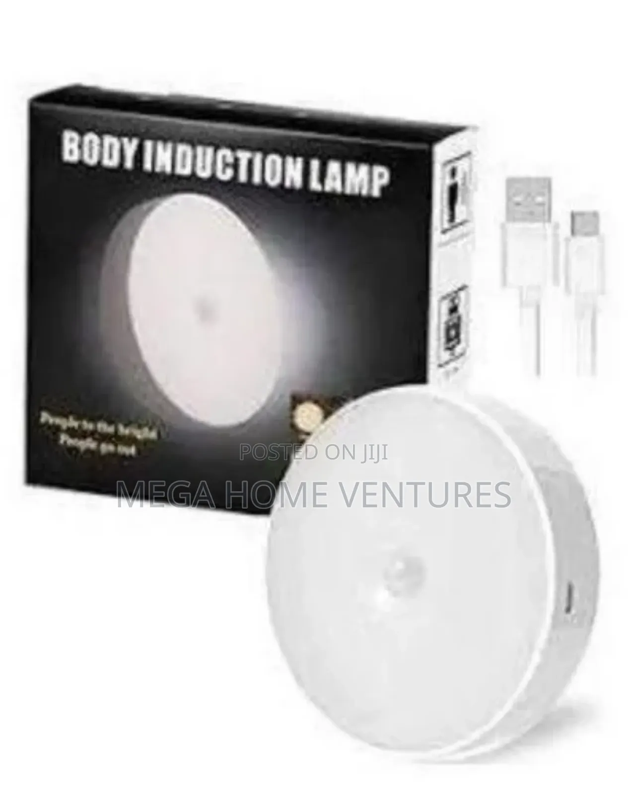 Intelligent Induction Lamp
