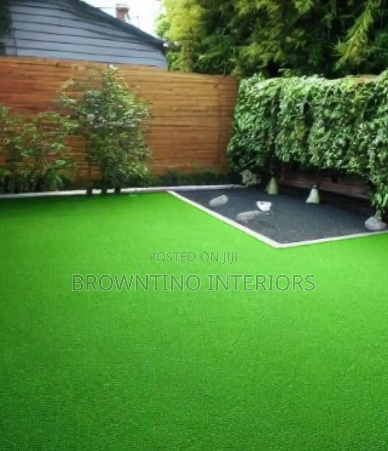 Carpet Grass We Sell the Best Quality