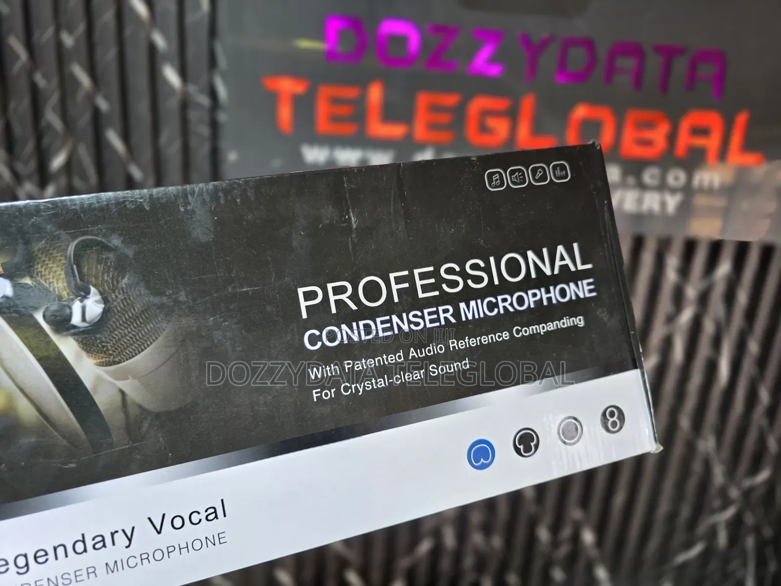 Legendary Vocal Professional Condenser Microphone